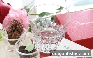 龙王捕鱼 | 龙虎和游戏全攻略：规则、概率与心态管控