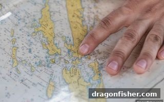 龙王捕鱼：USDT入金玩法中历史数字数据的深度剖析与运用