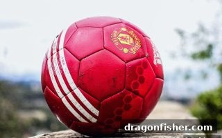 龙王捕鱼深度解析：极速游戏中的长龙与短龙奥秘