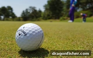 数字选号策略进阶：龙王捕鱼携手Evolution真人直播，开启精准决策新篇章