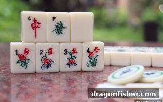 龙王捕鱼教你麻将速成：从新手到高手的实战心法