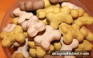 龙王捕鱼新手福利全解析：首存优惠与开户奖励的终极攻略