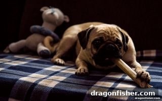 龙王捕鱼深度解析：每日首存优惠如何成为玩家持续活跃的秘密武器