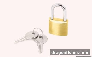 龙王捕鱼深度解析：提款效率背后的关键逻辑与应对策略