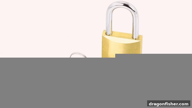 龙王捕鱼深度解析：提款效率背后的关键逻辑与应对策略