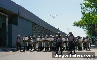 龙王捕鱼视角：菲律宾游戏法规最新动向与专家深度解读