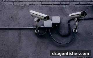 龙王捕鱼深度解析：安全提现为何是平台生命线