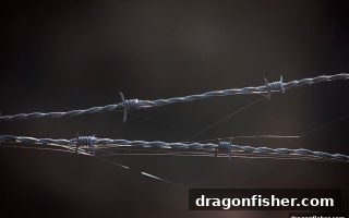 龙王捕鱼深度解析：流水红利背后的排雷陷阱与破局之道
