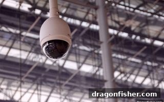 龙王捕鱼警示：欧冠实时比分查询中的二次受害陷阱与防护指南