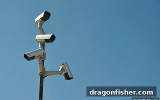 电子游戏平台的公平真相：龙王捕鱼视角下的风险与机制