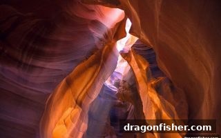 龙王捕鱼带你玩转21点游戏：JDB平台精选与策略全解析