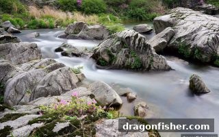 龙王捕鱼引领棋牌电竞新风向：从休闲娱乐到竞技直播的全景解读